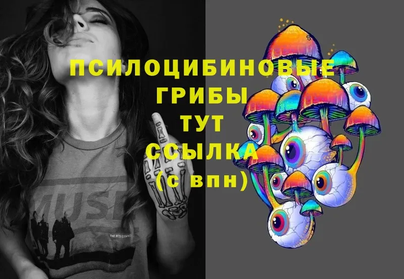 Псилоцибиновые грибы Psilocybe  Владивосток 