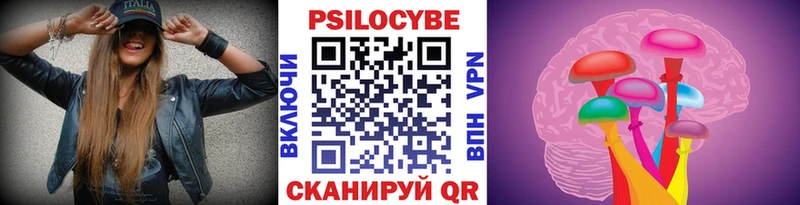 Псилоцибиновые грибы Psilocybine cubensis  Владивосток 