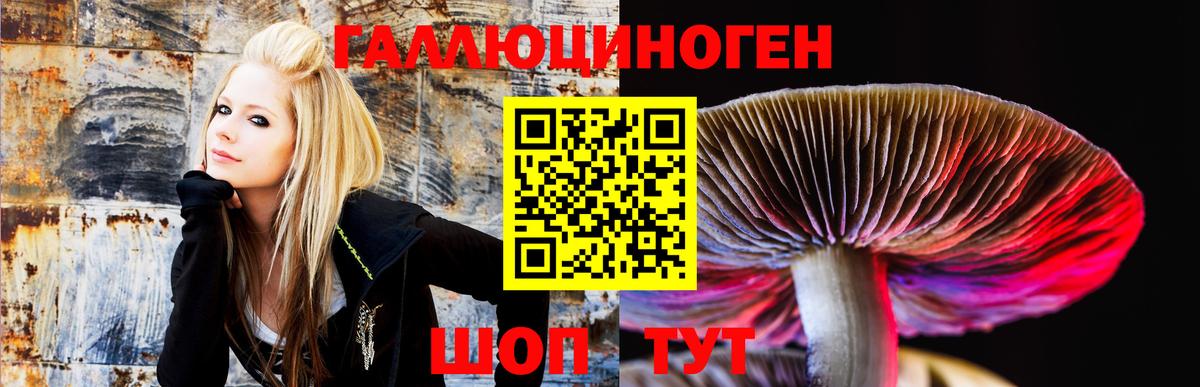 Псилоцибиновые грибы Cubensis  Вход с VPN  Псилоцибиновые грибы Magic Shrooms  Владивосток 
