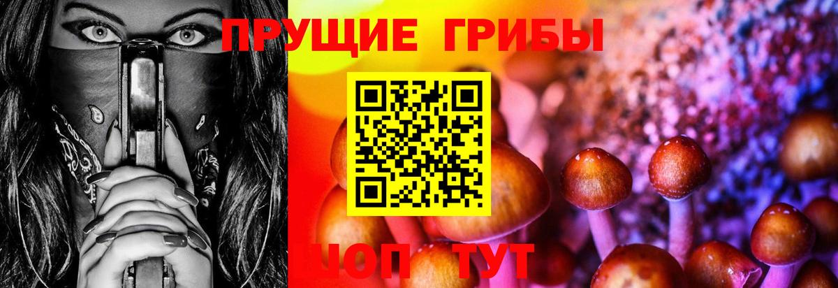 Галлюциногенные грибы MAGIC MUSHROOMS Владивосток